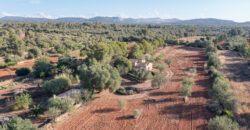 Country house for sale in Campos with land and private well
