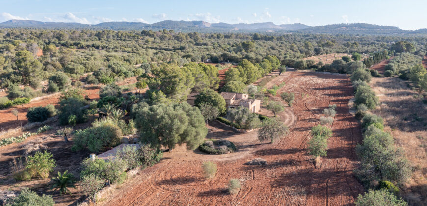 Country house for sale in Campos with land and private well