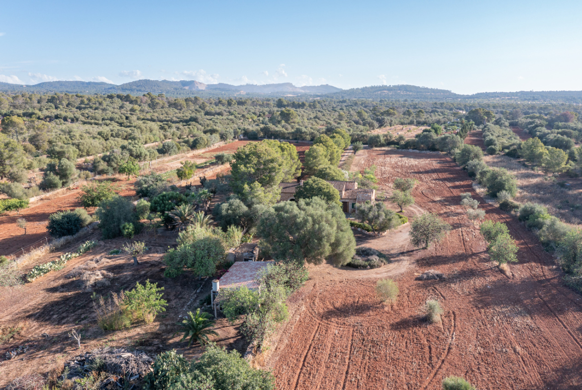 Country house for sale in Campos with land and private well