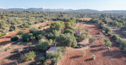 Country house for sale in Campos with land and private well