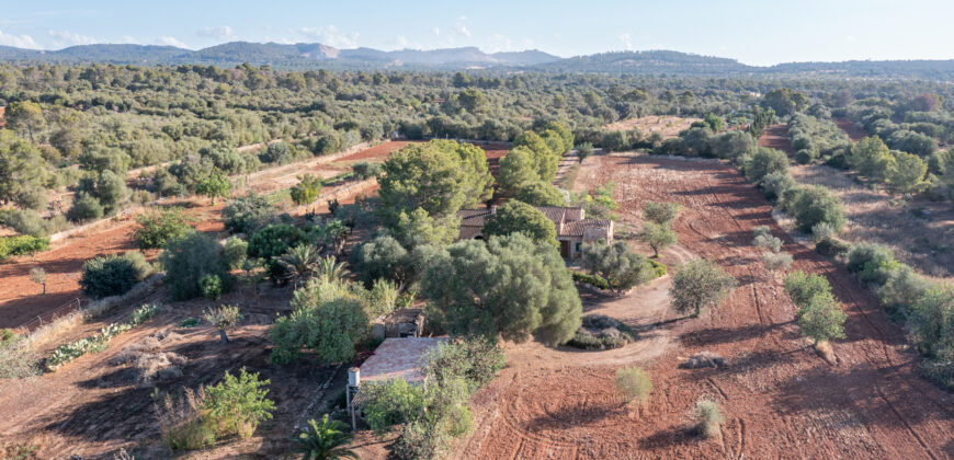 Country house for sale in Campos with land and private well