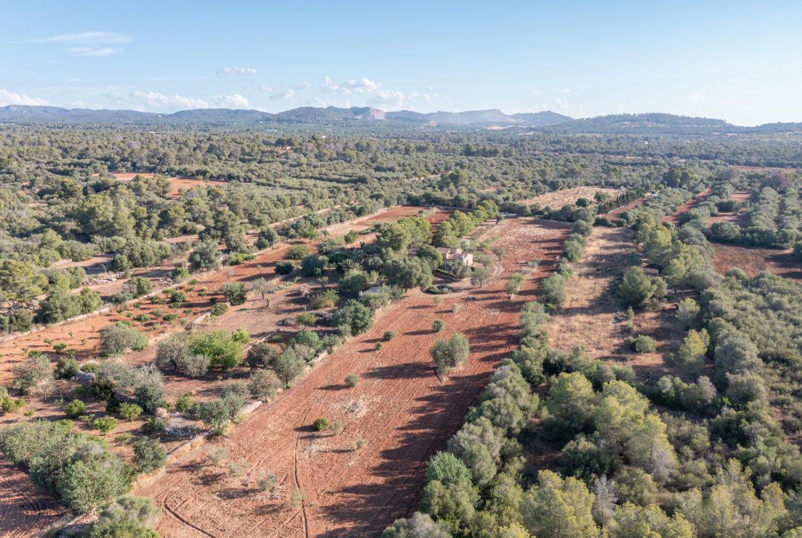 Country house for sale in Campos with land and private well