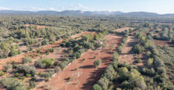 Country house for sale in Campos with land and private well