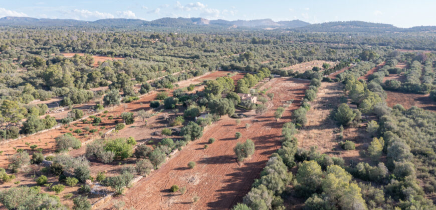 Country house for sale in Campos with land and private well