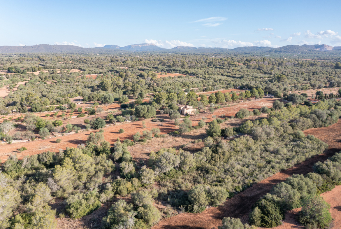 Country house for sale in Campos with land and private well