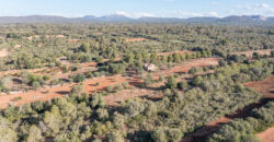 Country house for sale in Campos with land and private well