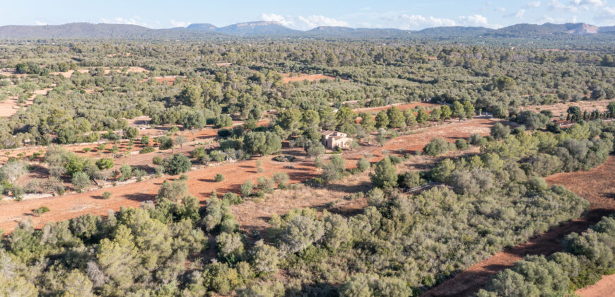 Country house for sale in Campos with land and private well