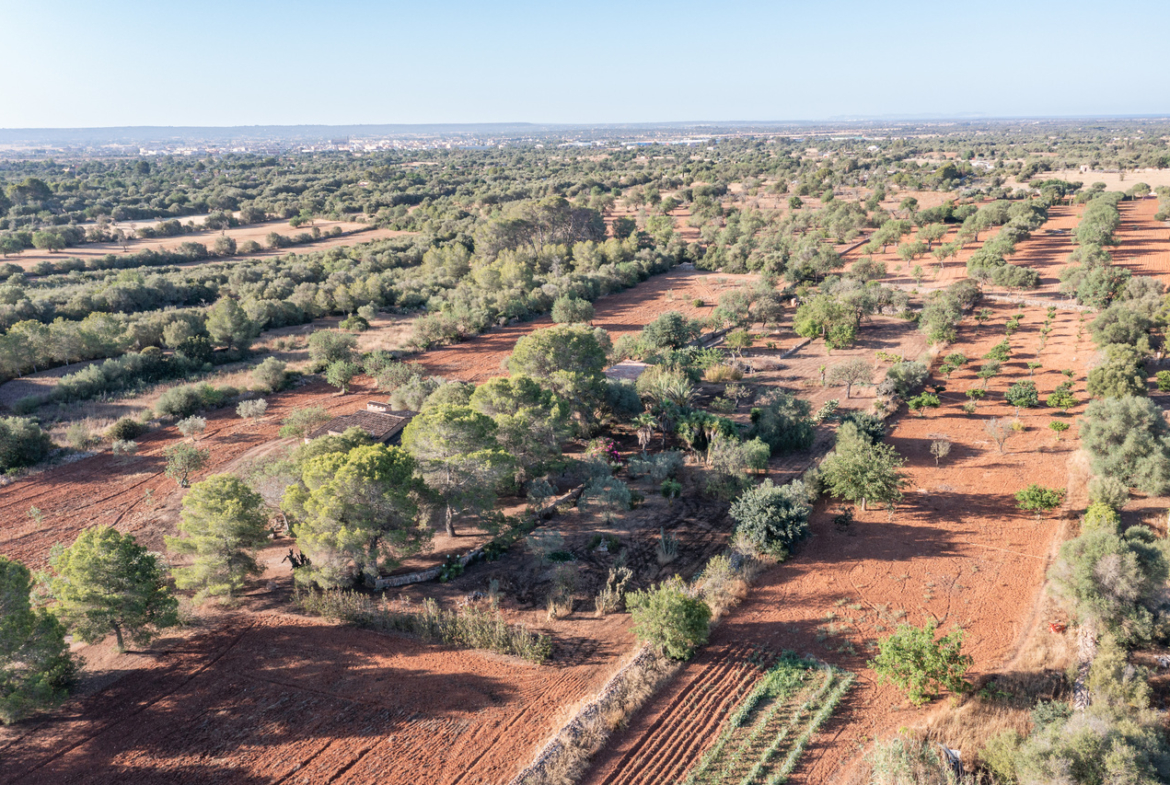 Country house for sale in Campos with land and private well