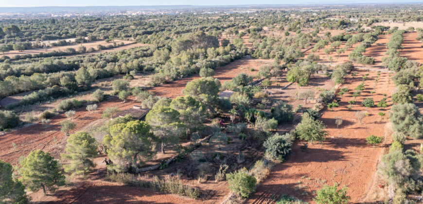 Country house for sale in Campos with land and private well