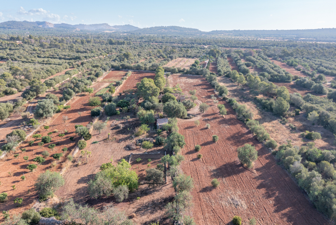 Country house for sale in Campos with land and private well