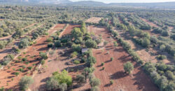 Country house for sale in Campos with land and private well