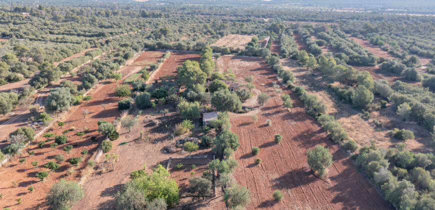 Country house for sale in Campos with land and private well