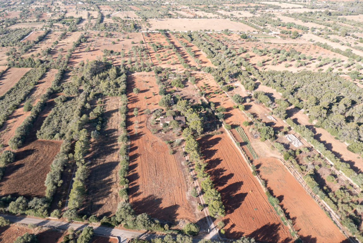 Country house for sale in Campos with land and private well