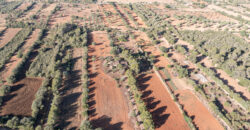 Country house for sale in Campos with land and private well