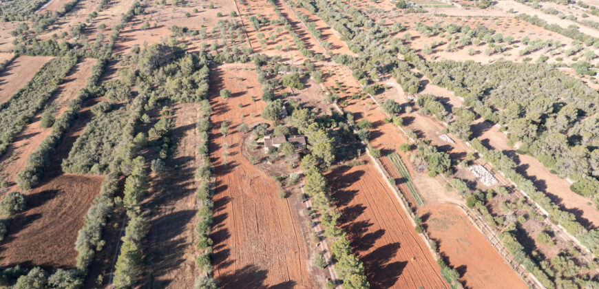 Country house for sale in Campos with land and private well