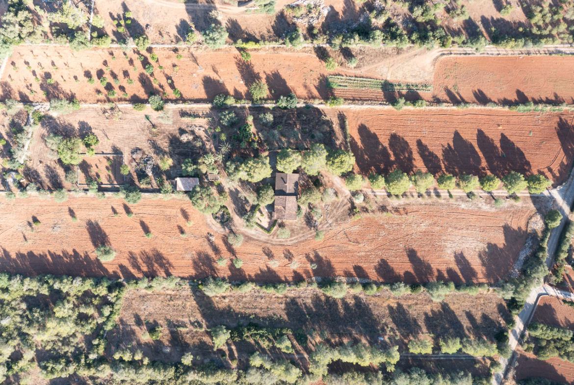 Country house for sale in Campos with land and private well