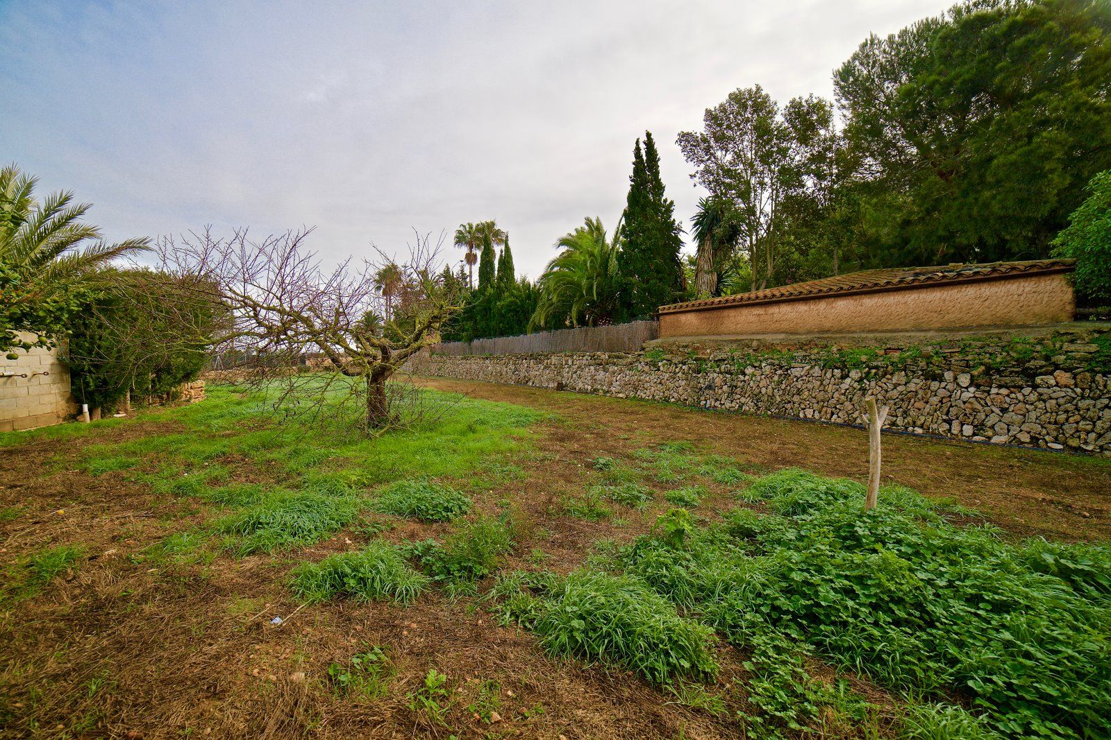 Country House Near Es Trenc & Ses Covetes Beaches, Campos