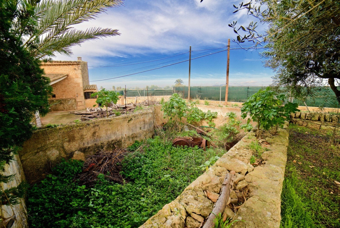Country House Near Es Trenc & Ses Covetes Beaches, Campos