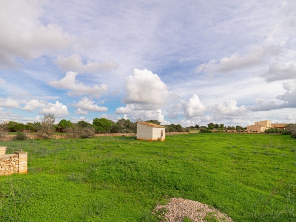 Caseta de campo con parcela junto a Ses Salines, Santanyí