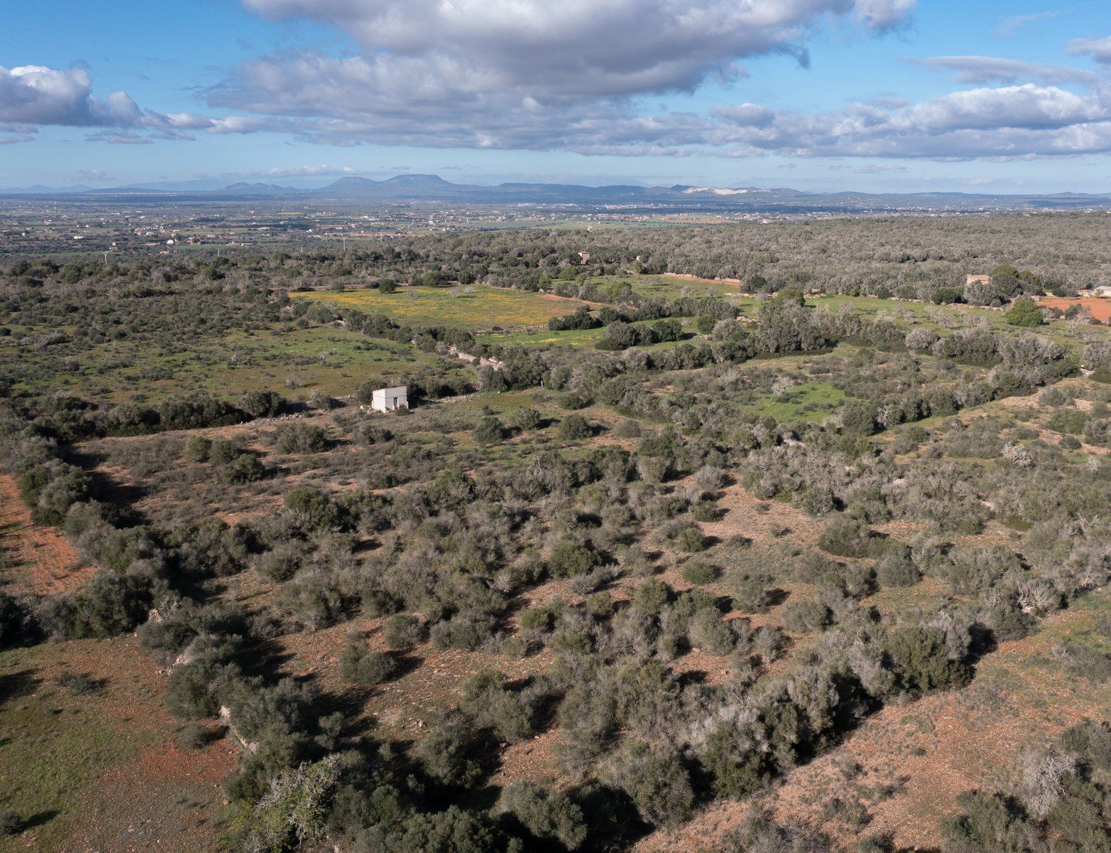 Terreno edificable de 14.100 m² cerca de Ses Salines con vistas