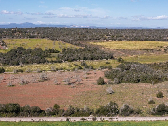 Terreno rústico cerca de Ses Salines con vistas a la montaña