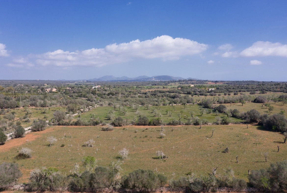 Terreno edificable de 23.000 m² cerca de Ses Salines