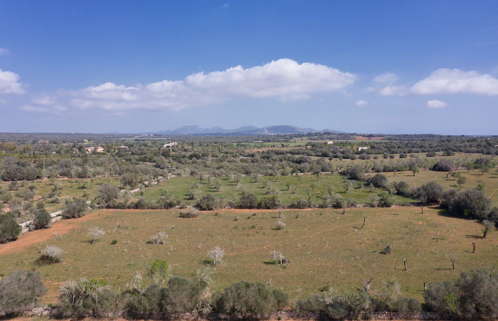 1-2001-Villasyfincasmallorca.jpeg Terreno edificable de 23.000 m² cerca de Ses Salines