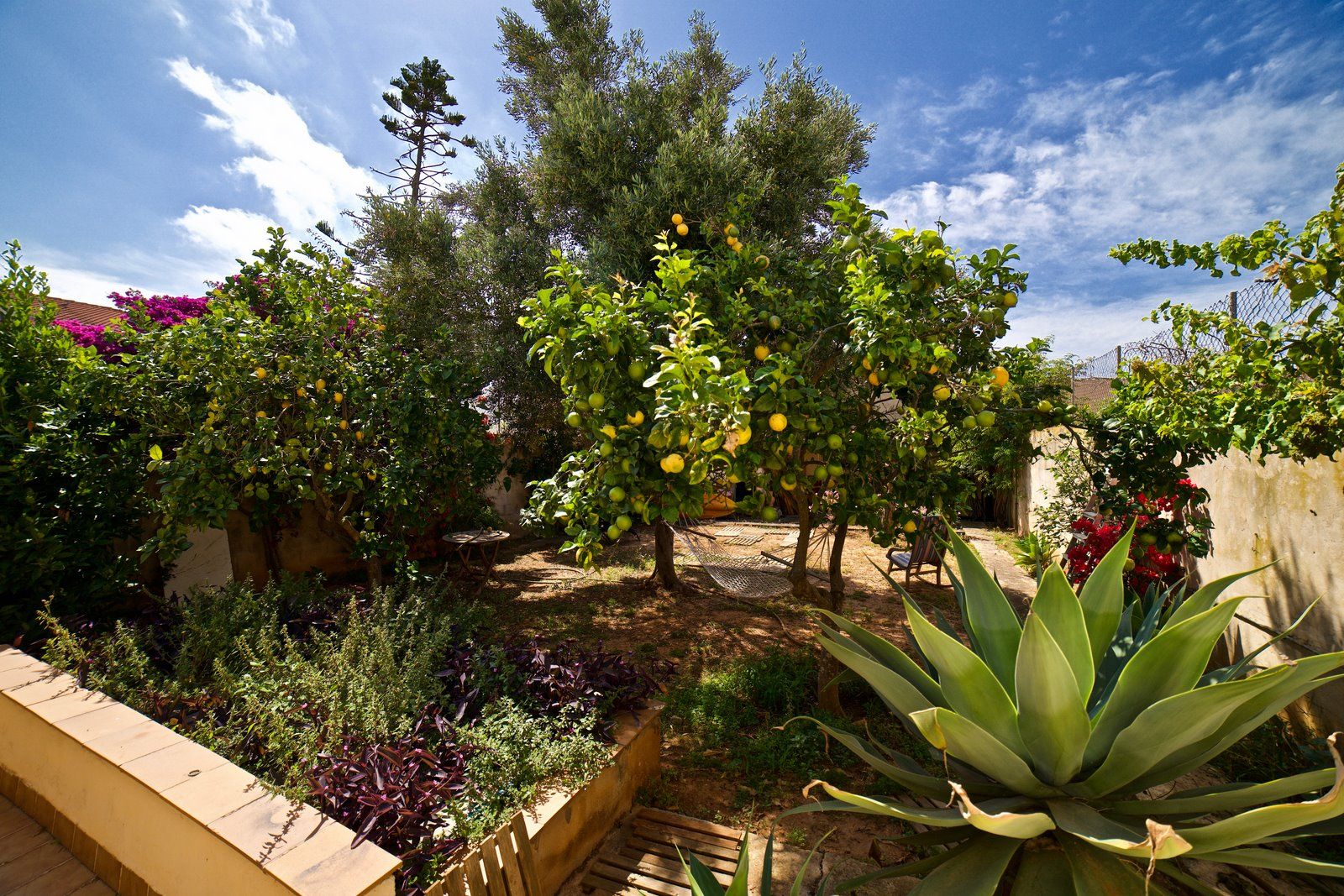 1-2005-Villasyfincasmallorca.jpg Haus mit Garten & Kamin zum Kauf in s’Estanyol, Mallorca