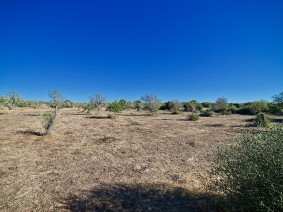 Terreno edificable de 23.000 m² cerca de Ses Salines