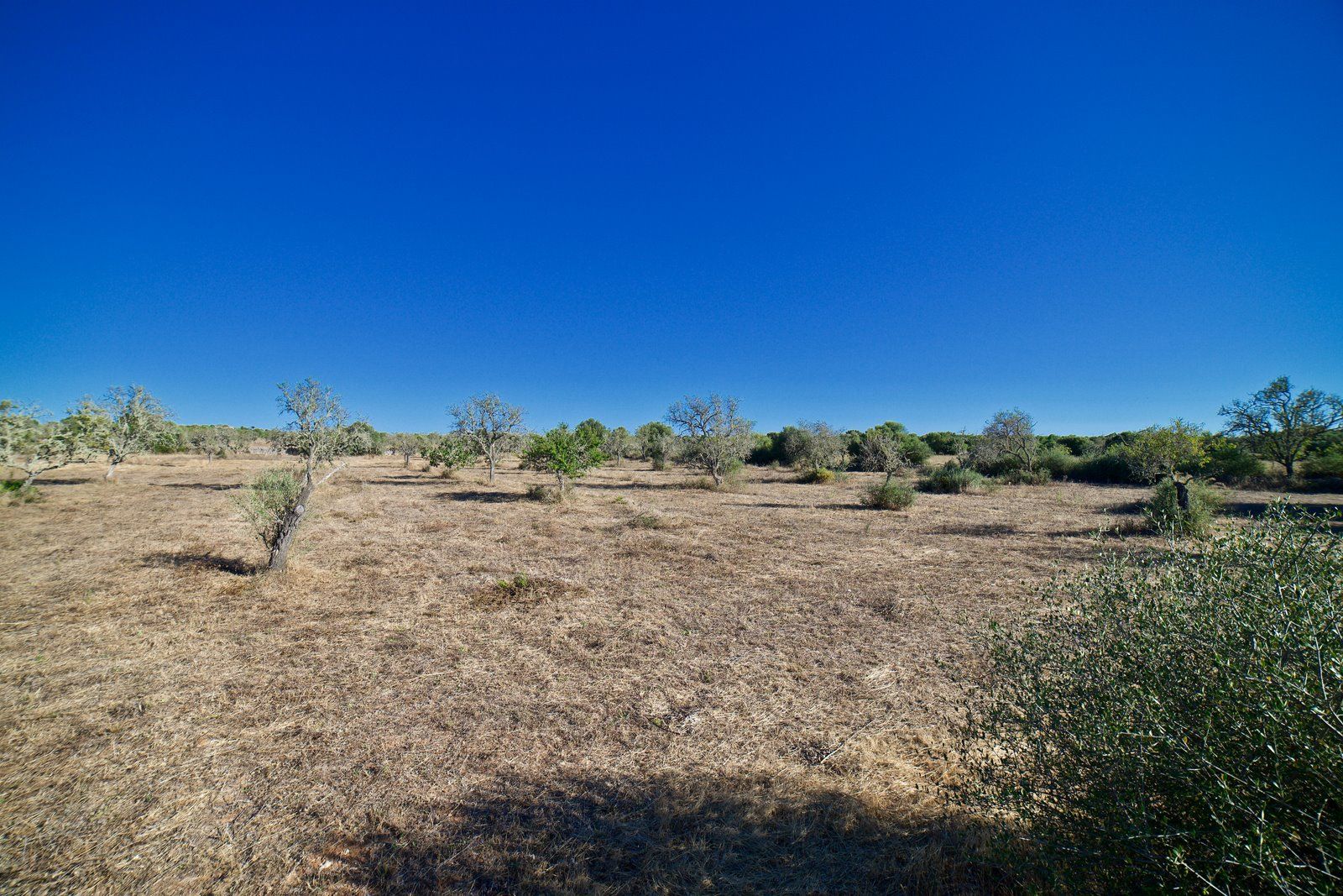 1-2007-Villasyfincasmallorca.jpg Terreno edificable de 23.000 m² cerca de Ses Salines
