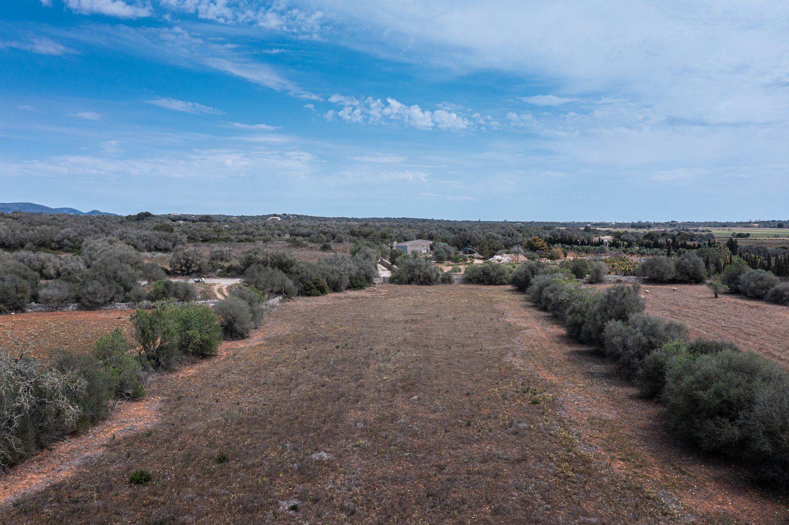 Baugrundstück 26.000 m² bei Ses Salines, Südmallorca