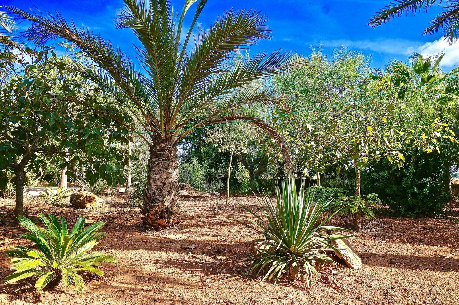 Casa de campo en alquiler junto a Es Trenc, Campos