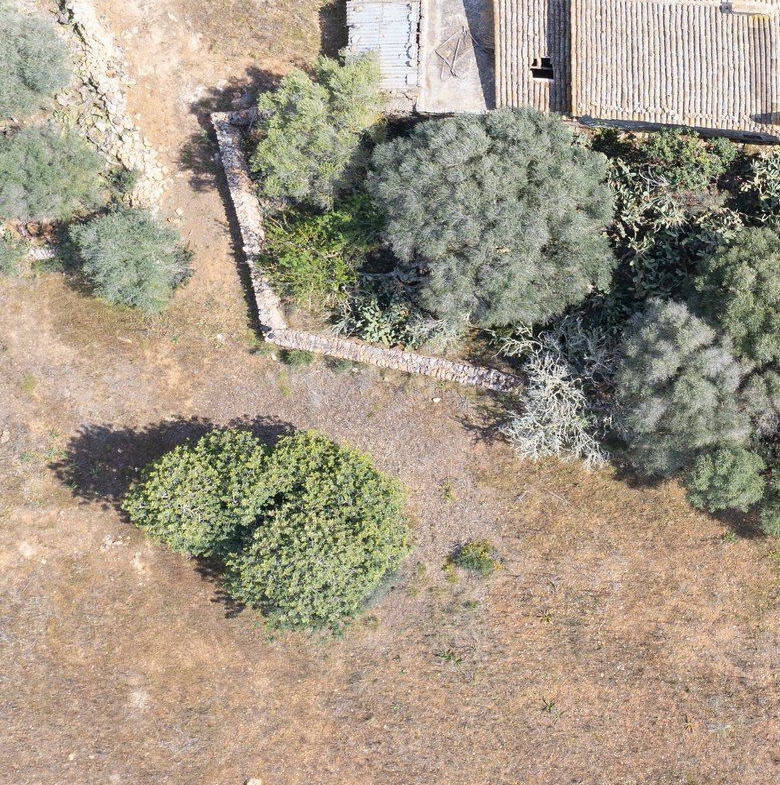 Landhaus zum Renovieren in Ses Salines: Finca-Projekt auf Mallorca