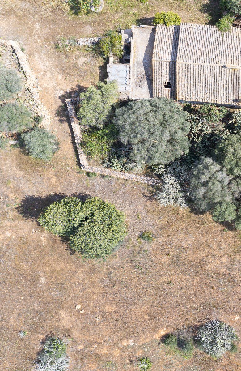 1-959_2-Villasyfincasmallorca.jpg Landhaus zum Renovieren in Ses Salines: Finca-Projekt auf Mallorca