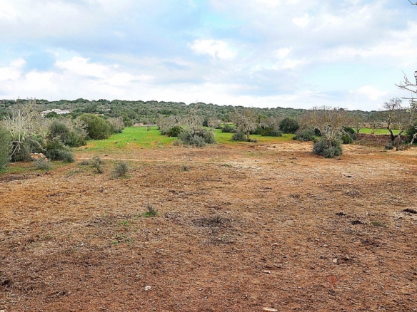 Parcela edificable de 15.000 m² junto a Ses Salines, Mallorca