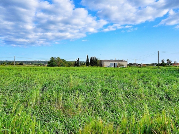 Finca rústica con torre de molino cerca de Ses Salines