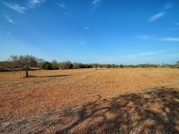 Terreno edificable con proyecto y licencia en Santanyí