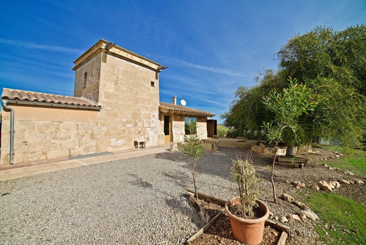 Restored Windmill for Rent Near Es Trenc Beach, Campos