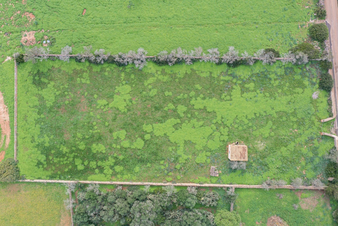 Country Cottage with Large Plot Near Ses Salines, Santanyí