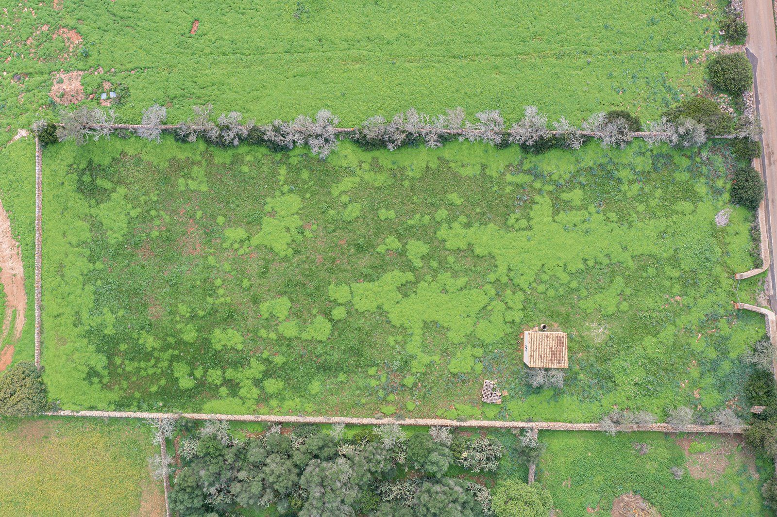 10-1233-Villasyfincasmallorca.jpg Country Cottage with Large Plot Near Ses Salines, Santanyí