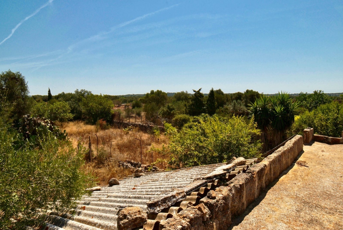 Landhaus zum Renovieren in Ses Salines: Finca-Projekt auf Mallorca