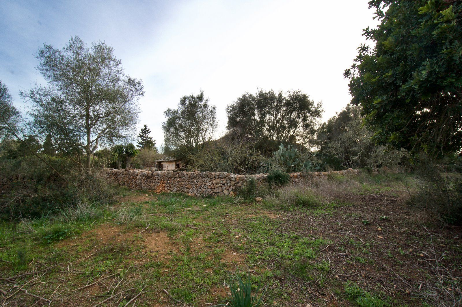10-959-Villasyfincasmallorca.jpeg Landhaus zum Renovieren in Ses Salines: Finca-Projekt auf Mallorca
