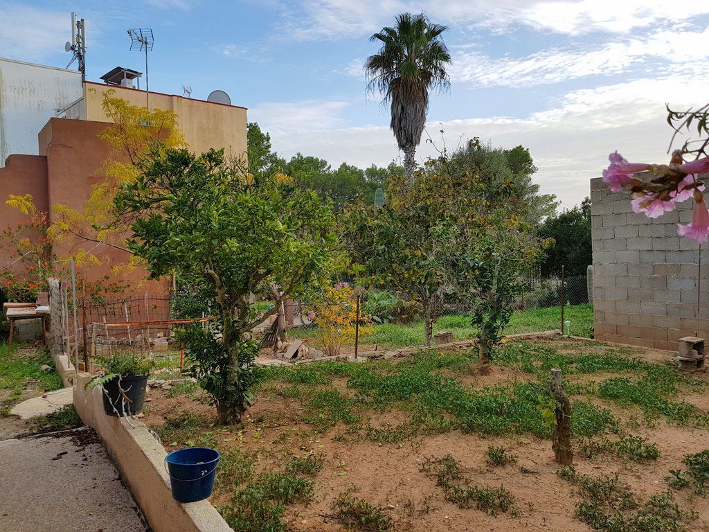 Dual-Unit House 450 m from Cala Mondragó Beach, Santanyí