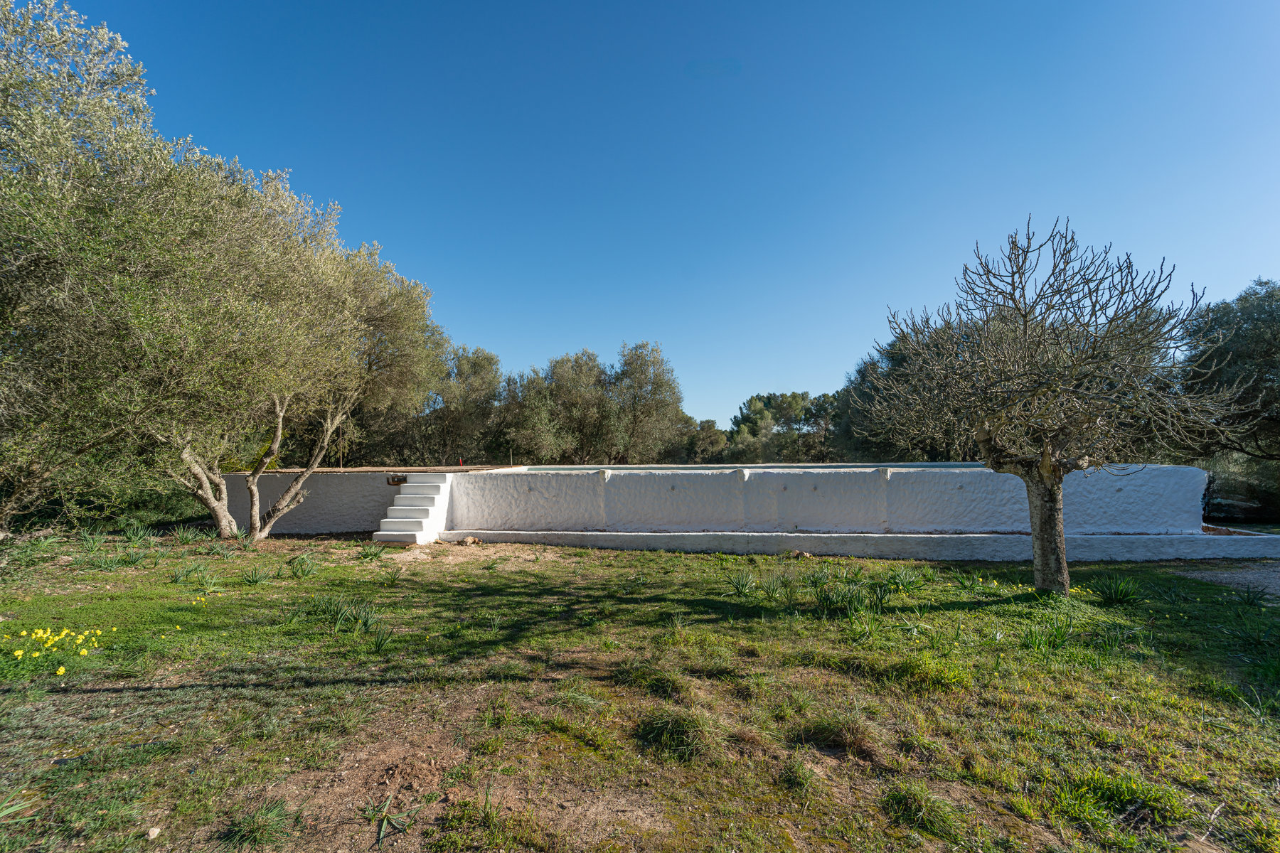 1118-Country-house-to-rent-in-a-beautiful-setting-of-Algaida-11.jpg Landhaus mit Pool zur Miete bei Algaida, Mallorca