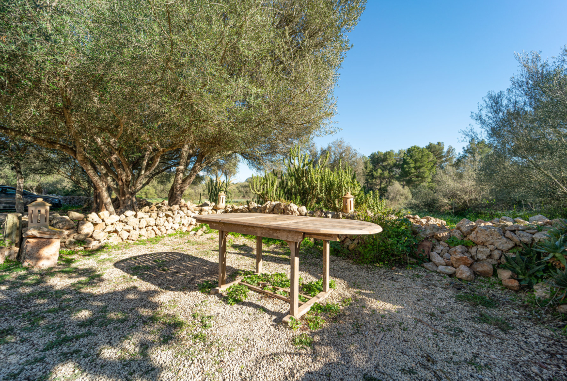 Landhaus mit Pool zur Miete bei Algaida, Mallorca