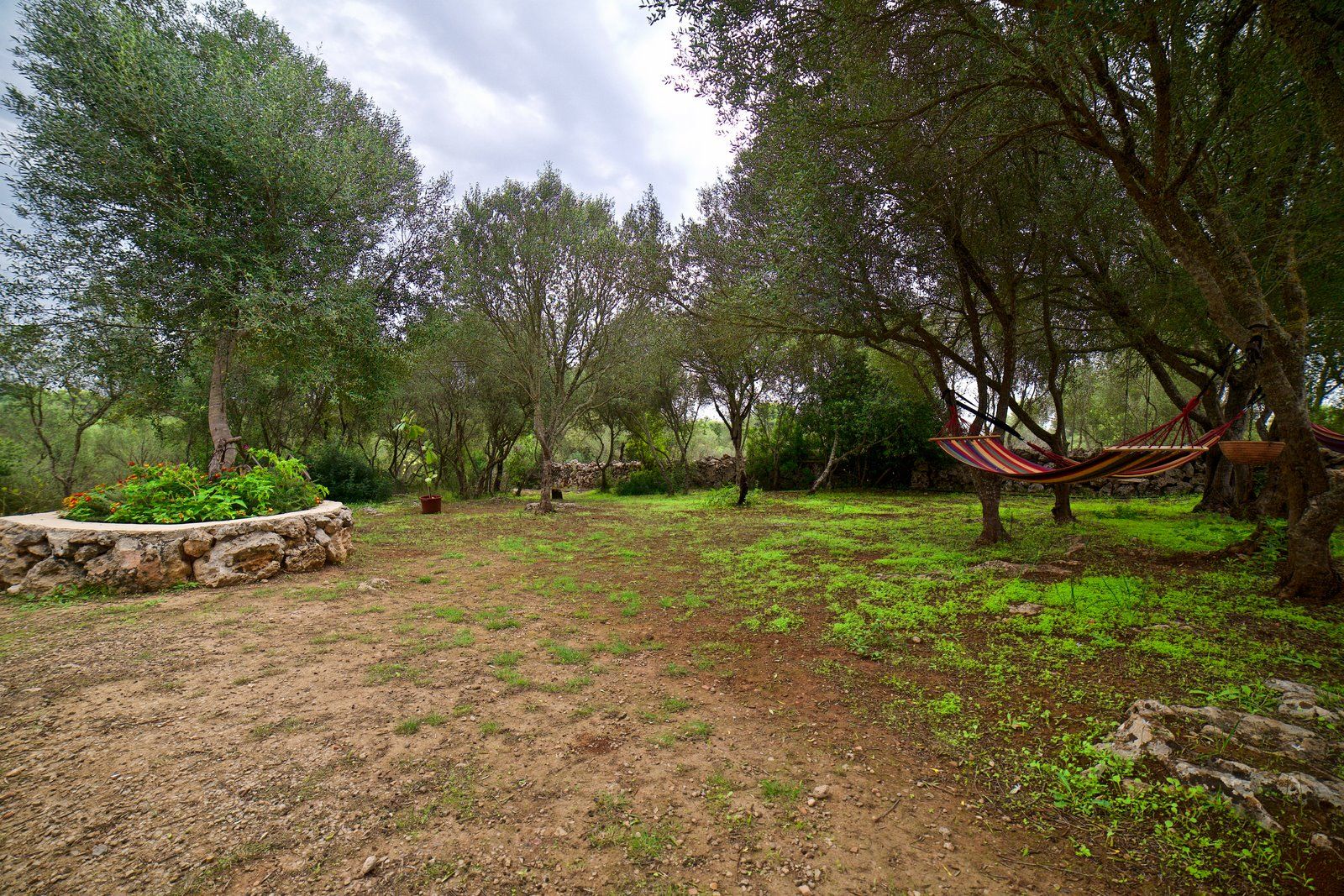 12-2021-Villasyfincasmallorca.jpg Alquiler casa de campo en Sineu con jardín y chimenea