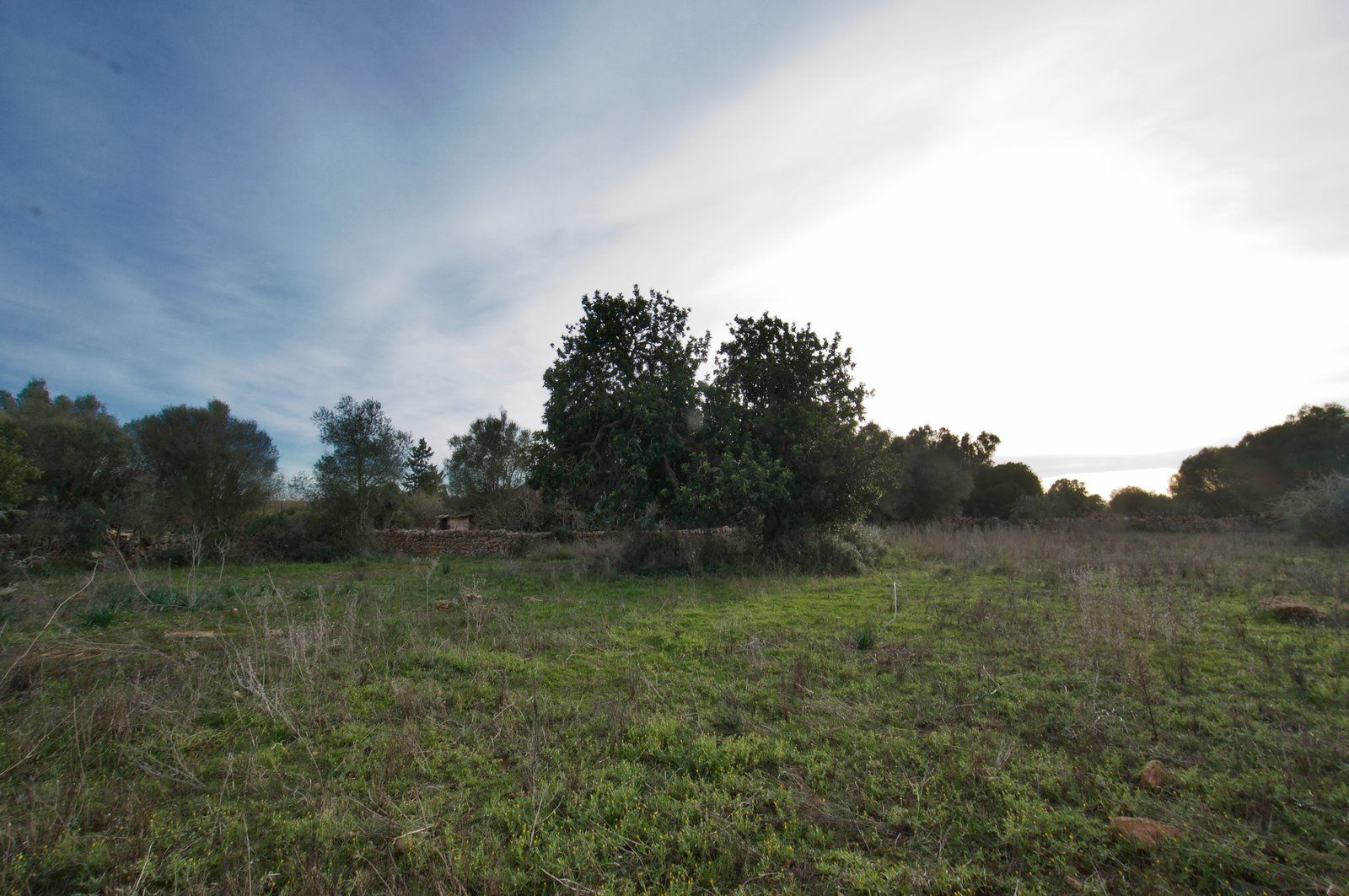 12-959-Villasyfincasmallorca.jpeg Landhaus zum Renovieren in Ses Salines: Finca-Projekt auf Mallorca