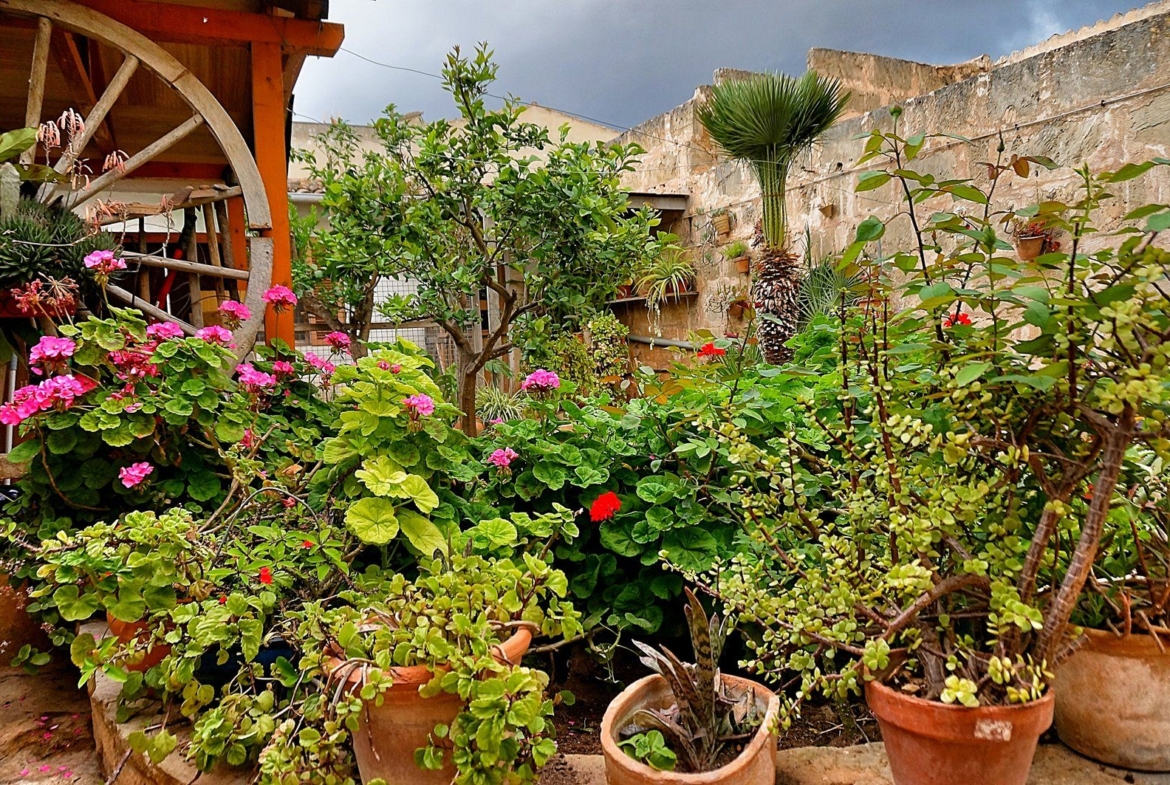 Großes Dorfhaus mit Patio und Terrasse zum Kauf in Llucmajor