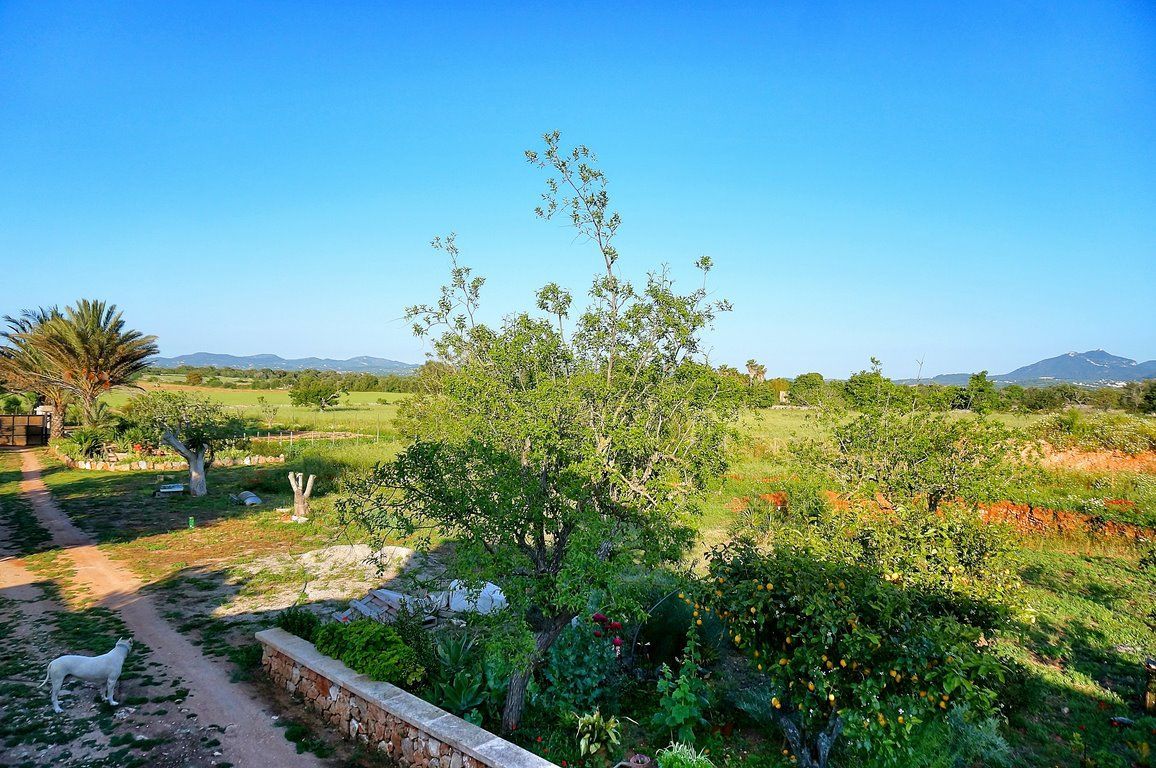 Rustikales Landhaus zur Miete bei Felanitx, Mallorca