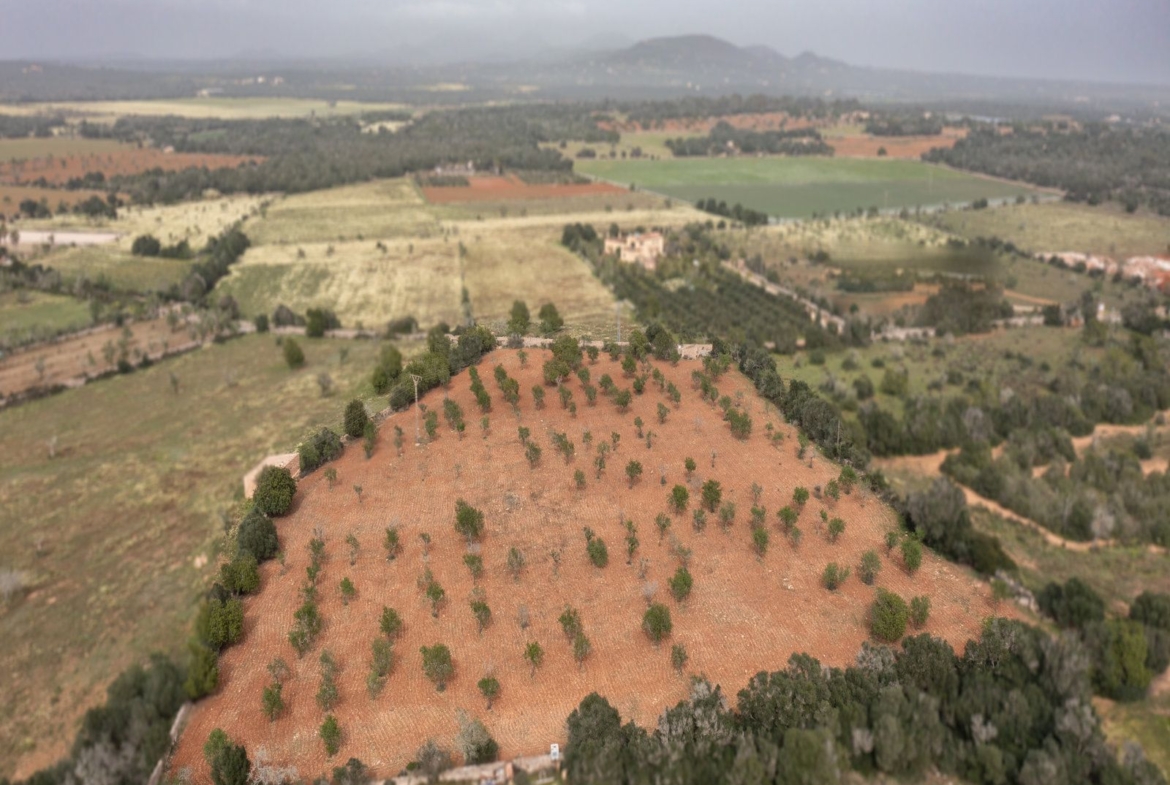 Terreno rústico con proyecto cerca de Ses Salines, Mallorca